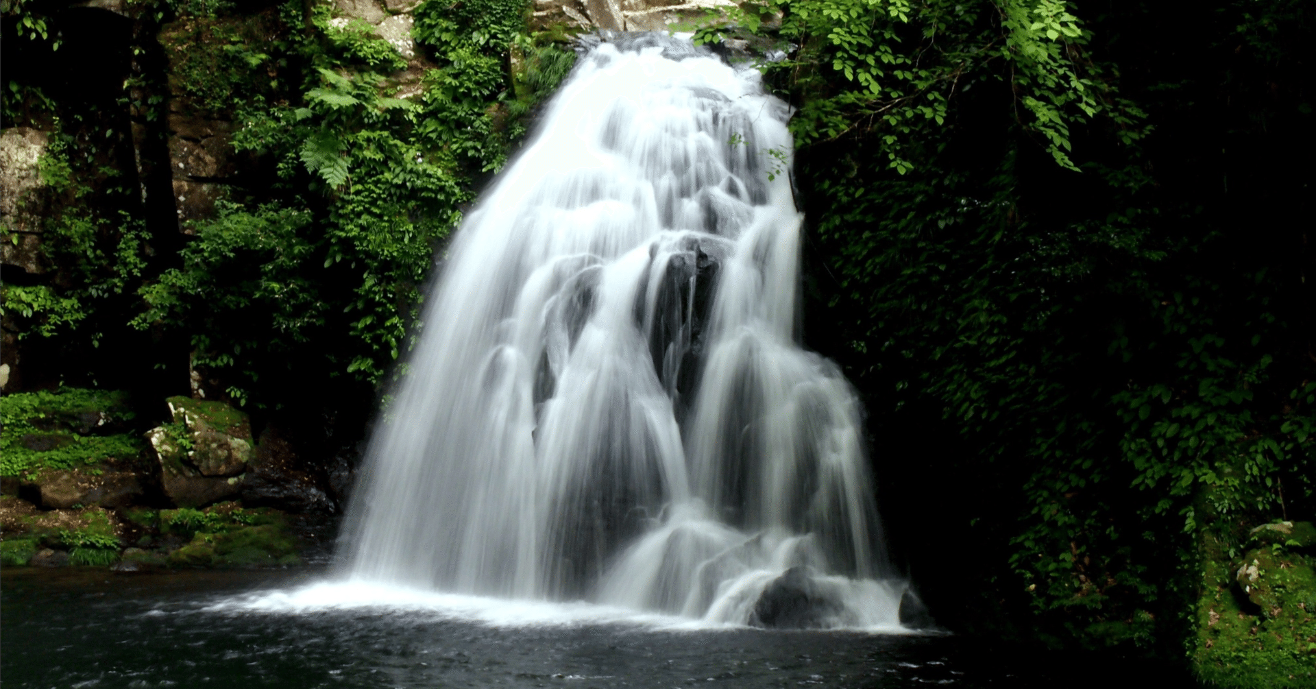 車谷長吉「赤目四十八滝心中未遂」｜幻叟