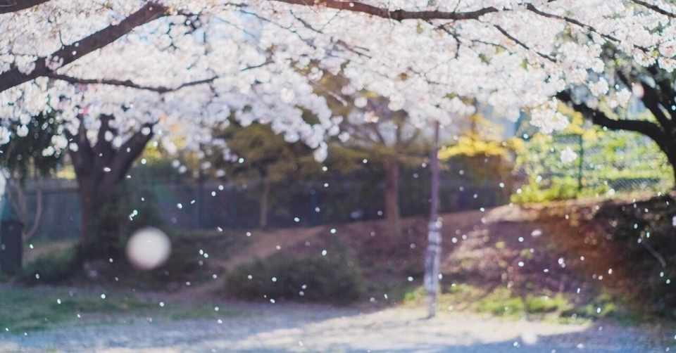 きみに読む物語 を社会人になってはじめて観た サニー Note