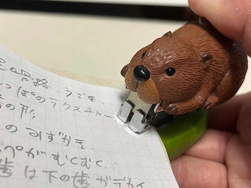 骨格からアメリカビーバーを作っちゃおう！！｜あいた