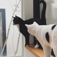誰かを愛する気持ちを 言葉でデザインするということ ひーこ Note