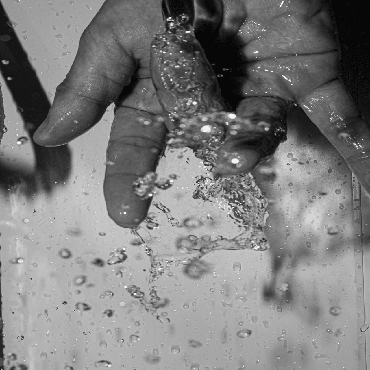 レフ機の魅力【Nikon D800、作例】｜谷 龍介