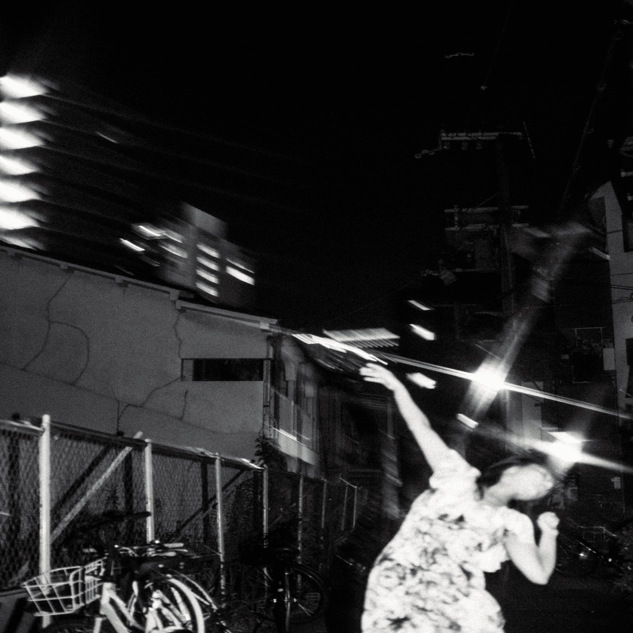 レフ機の魅力【Nikon D800、作例】｜谷 龍介