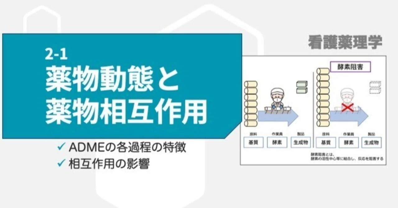 2-1 薬物動態と薬物相互作用｜こはく堂薬局
