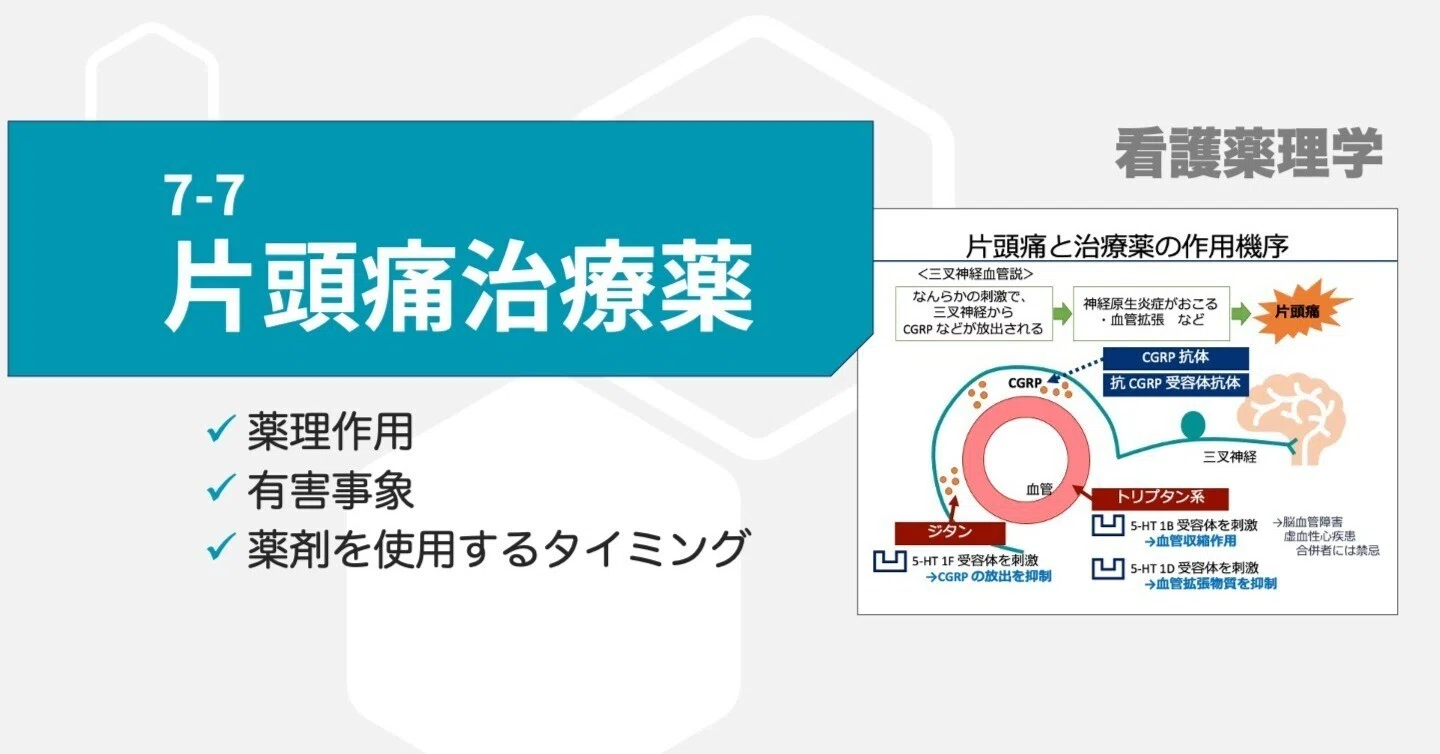 7-7 片頭痛治療薬｜こはく堂薬局