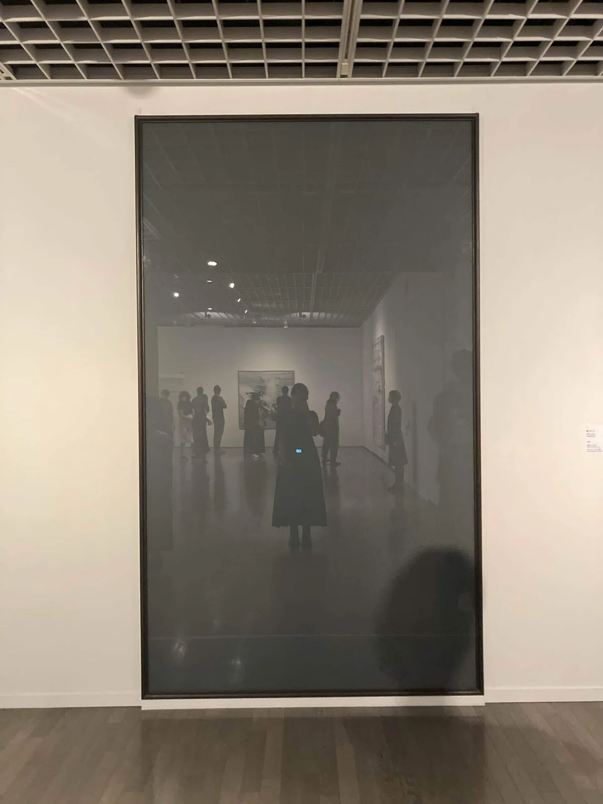 縦2.5メートルくらいある灰色のガラスの作品。ここに自分を含め人の影が映り込んで、また作品のようになっている。