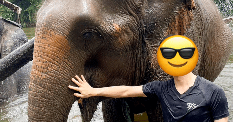 【1コマ海外旅行】#44 暑い日は象と水浴びはいかが？！inタイ