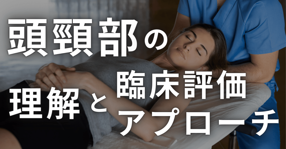 内容 | 頭・頸部の筋の形と位置 立体的イメージングのために