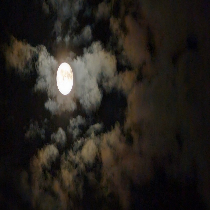 昨夜の月 スーパーブルームーン｜annon