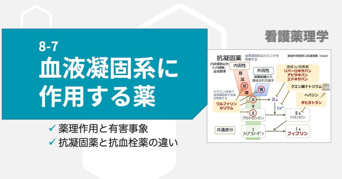 8-7 血液凝固系に作用する薬｜こはく堂薬局
