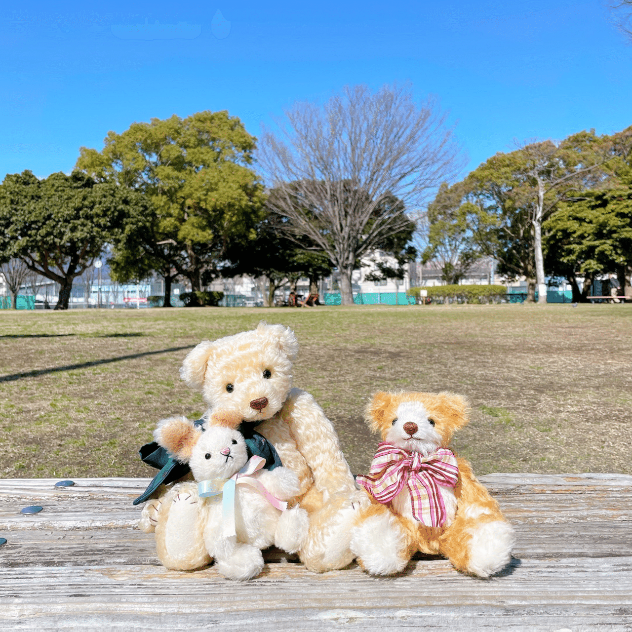 テディベアを抱きしめて｜坂元あゆ実｜テディベア作家