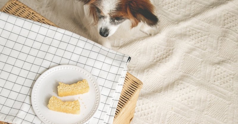 ダイエットにもおすすめ ノンオイル 低糖質のふわふわおからパウンド 手作り犬おやつレシピ 単品購入 いちかわあやこ 犬ごはん先生 Note ダイエットにもおすすめ ノンオイル 低糖質のふわふわおからパウンド 手作り犬おやつレシピ 単品購入 いちかわあやこ 犬ごはん先生 Note