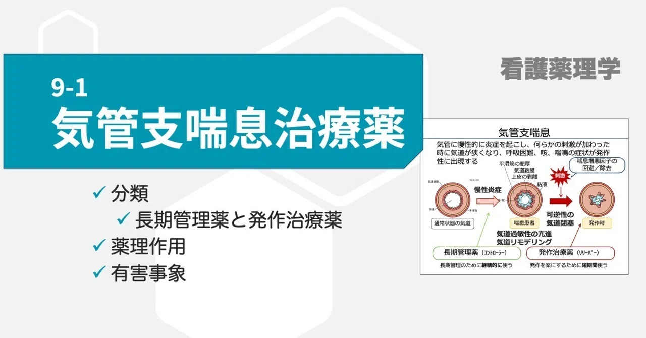 9-1 Bronchial Asthma｜こはく堂薬局