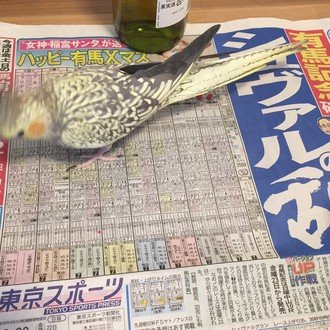 10 3ロボット イン ザガーデン初日を見てきた かおロイド Note