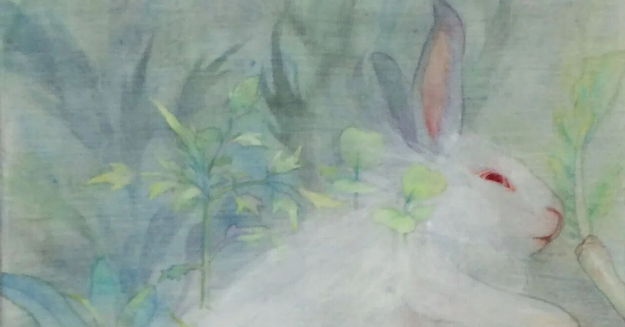 私の描くうさぎの話｜安松