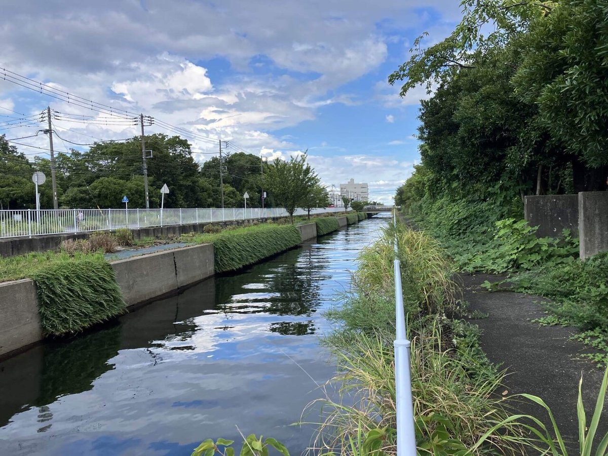 長浜水路沿緑地