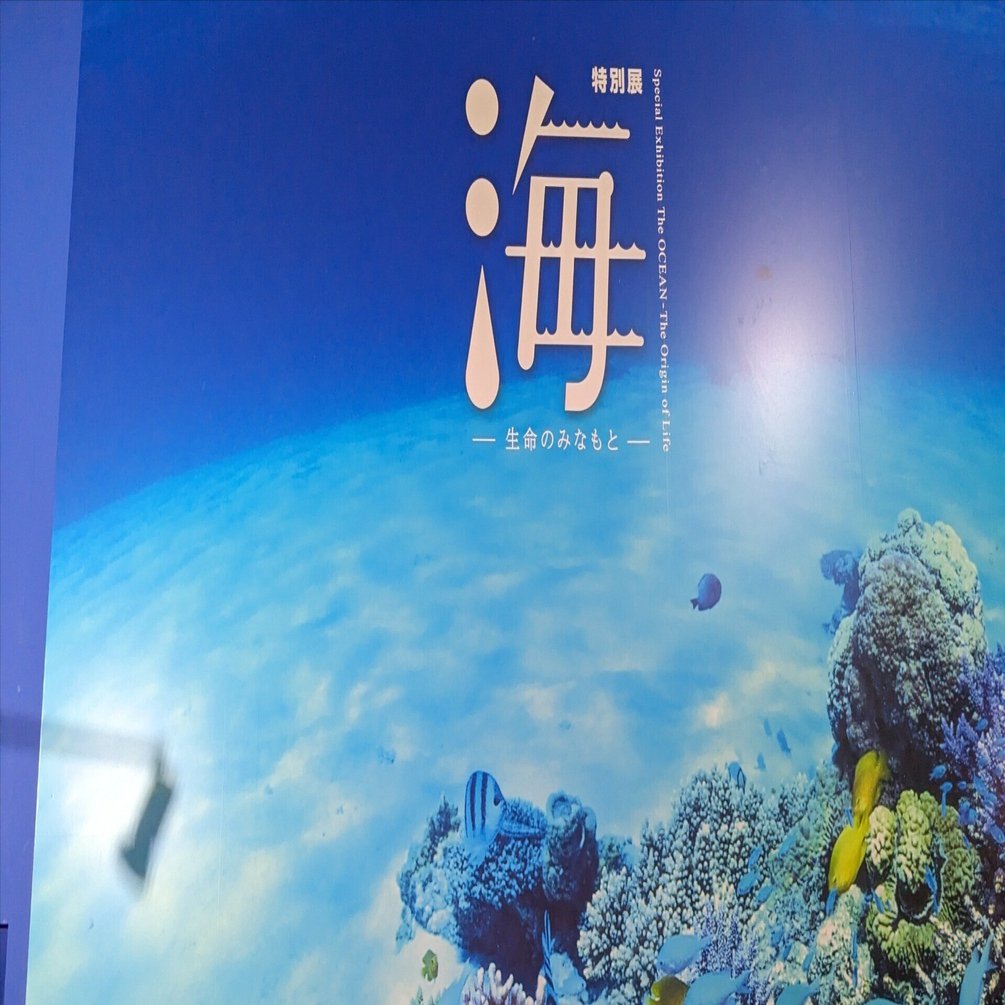 国立科学博物館「海 ―生命のみなもと―」に行ってきた｜kzn