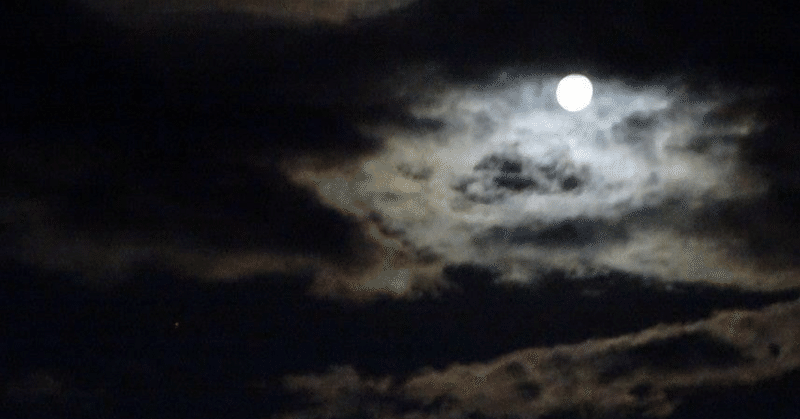 きょうの日記: 夜風とおっきい月