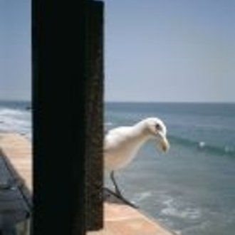 何でも質問して下さい。｜クロサカタツヤ