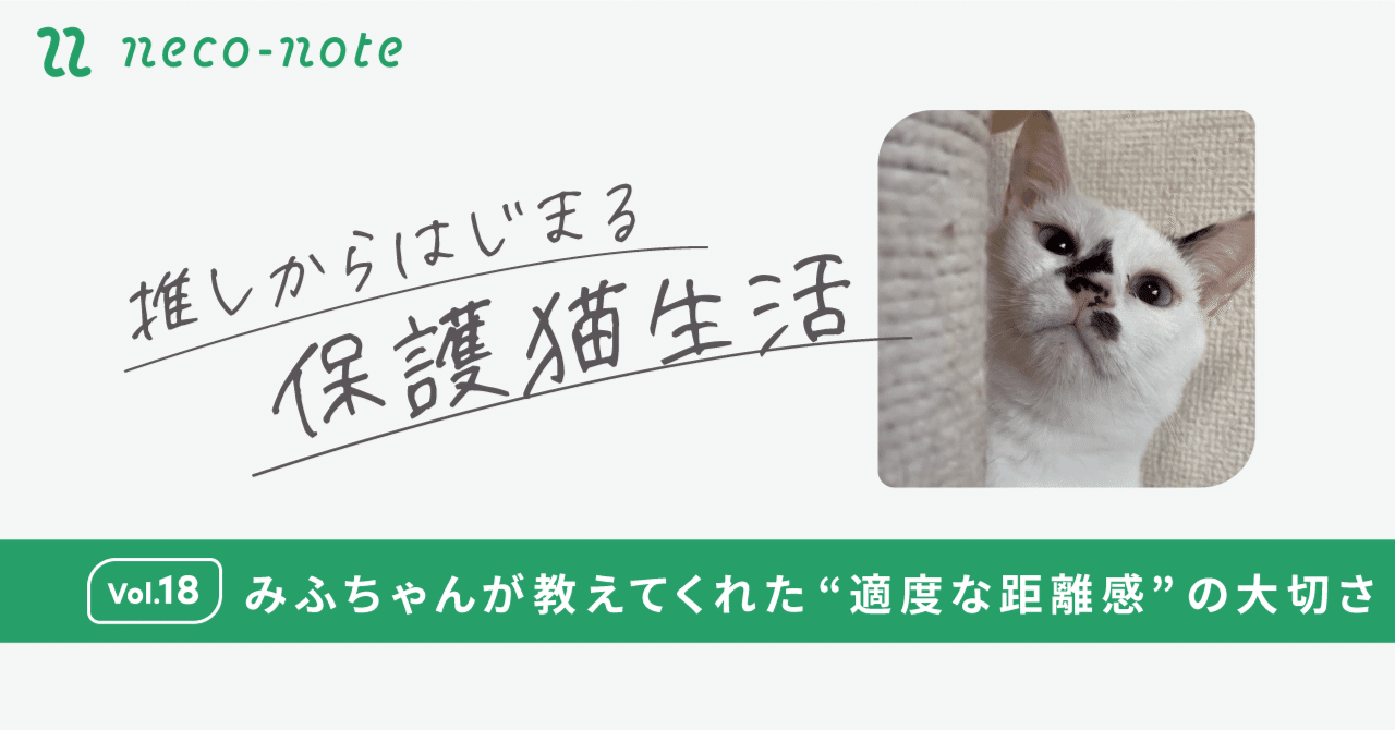 【neco-note】ふちゃんが教えてくれた“適度な距離感”の大切さ