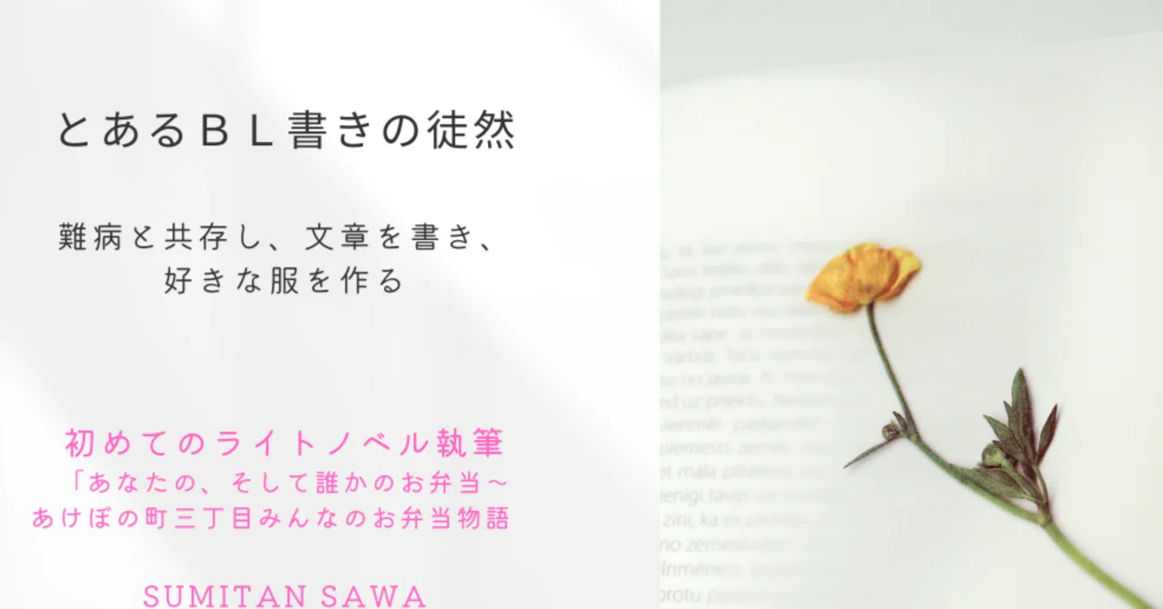 My First Light Novel｜すみたに