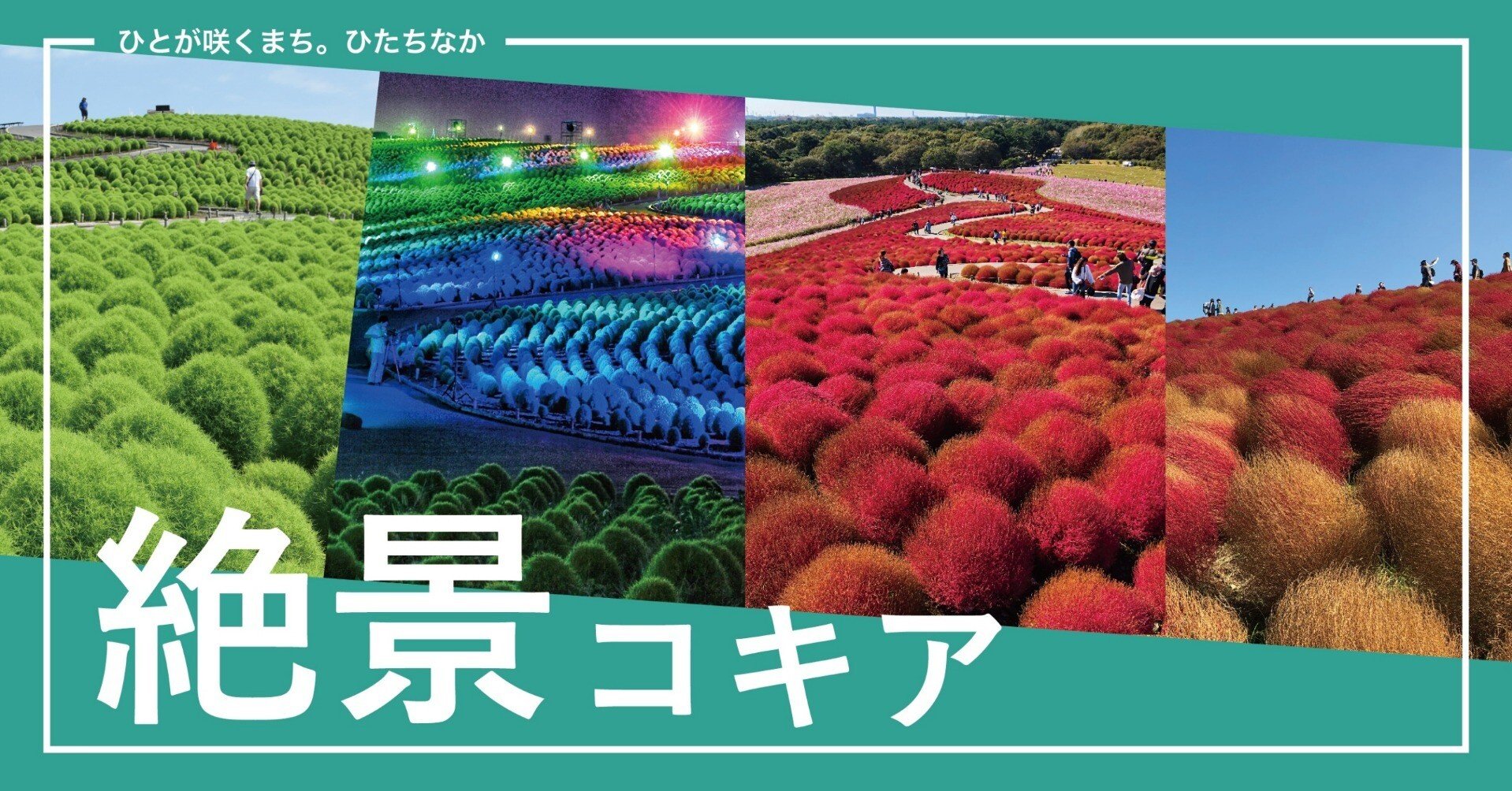 e20c99b3d55971f1d290339fb9db8a