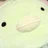 みやこ