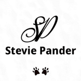 Stevie Pander