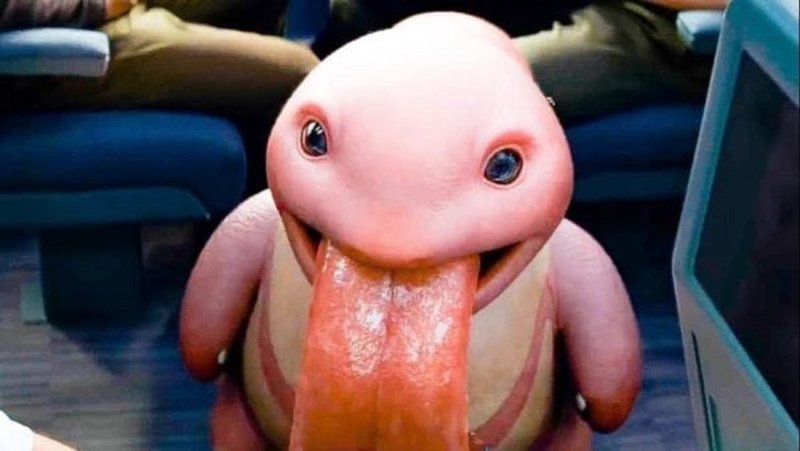 夜な夜な 親の目を盗んでポケモンを遊んでいた人必見 名探偵ピカチュウ 三島健 Note 夜な夜な 親の目を盗んでポケモンを遊んでいた人必見 名探偵ピカチュウ 三島健 Note