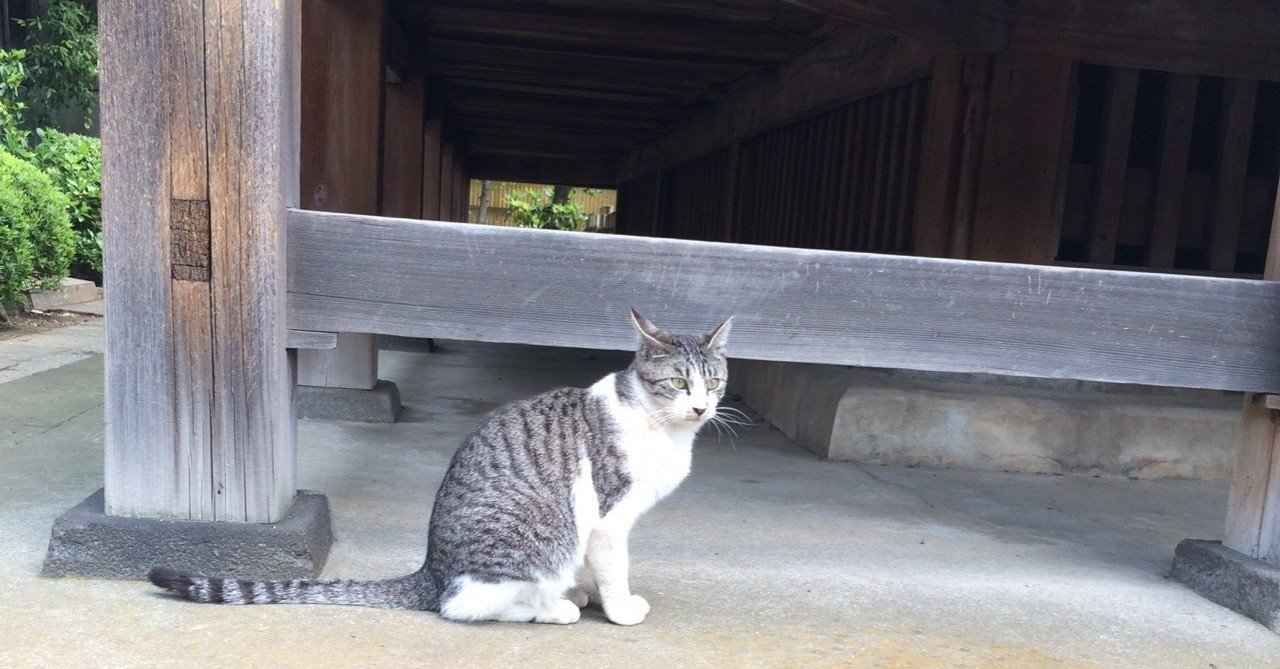 全てを理解したい シガナイol Note 全てを理解したい シガナイol Note