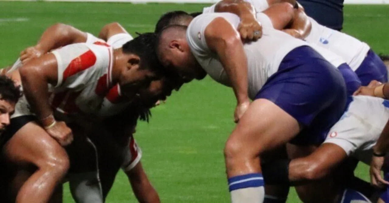 RWC2023】注目選手 プロップ（PR）編｜みきしの(ShinoMiki)