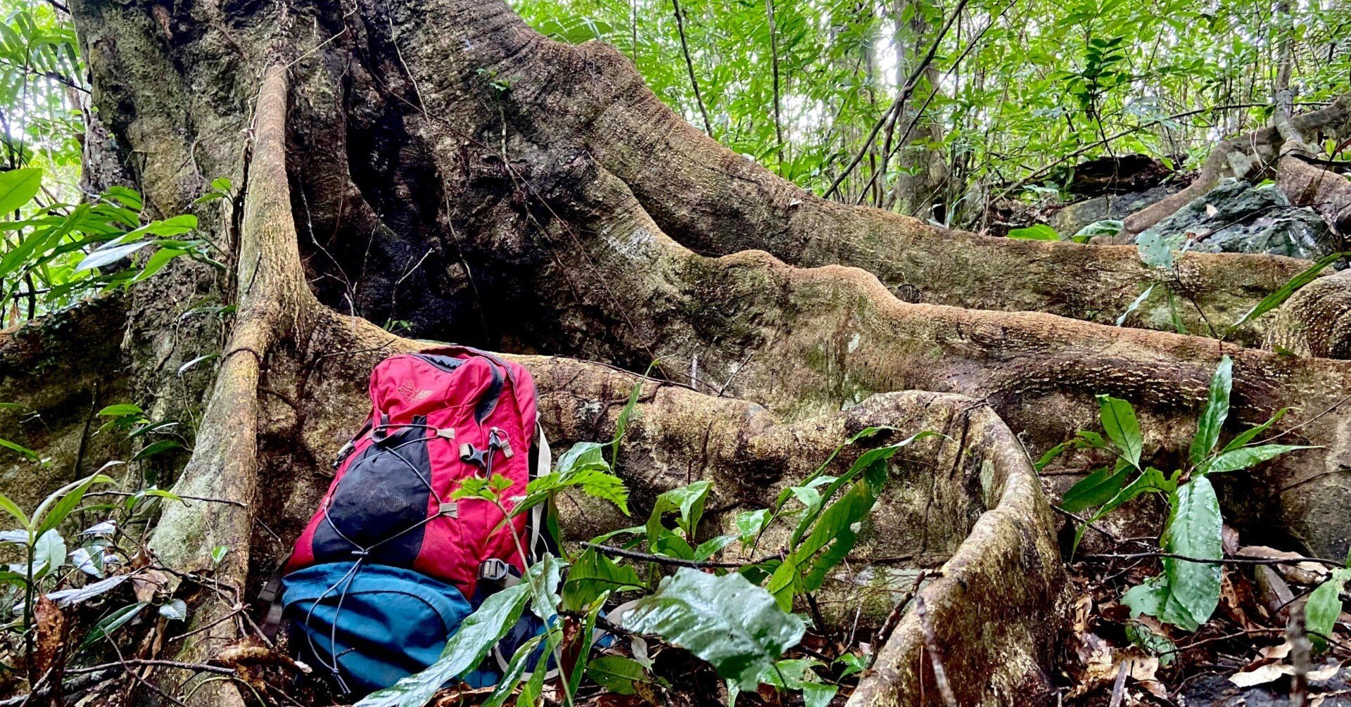 15ca8aa25e874b49a38093d17d1973