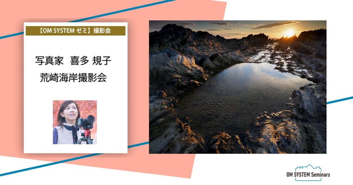 荒崎海岸を望む水彩画 額装済み 荒崎海岸。 | GANREF
