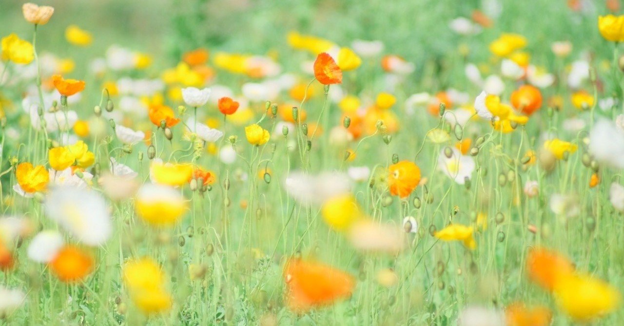 Pentacon six TLジャンク 動作不良品 Pentacon six TLジャンク 動作不良品