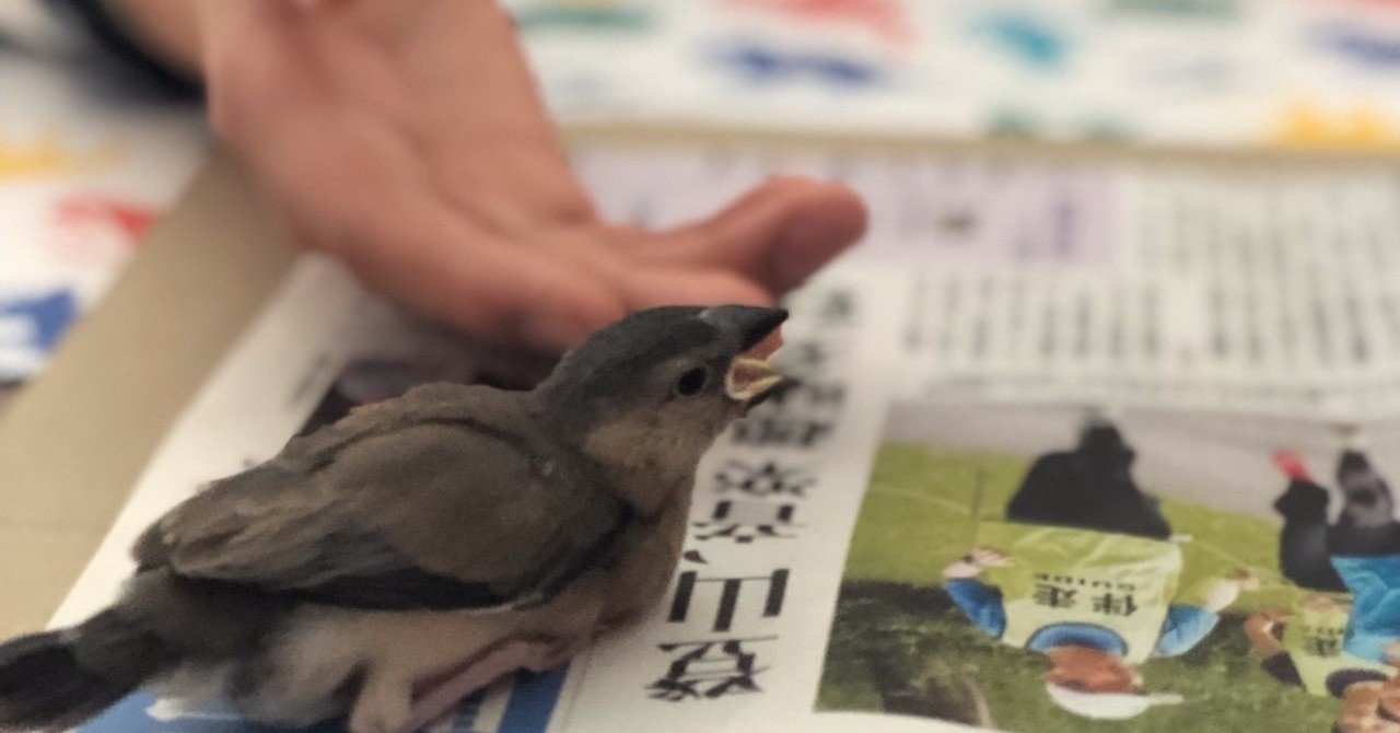 文鳥はかわいい 曽和利光 人材研究所 Note