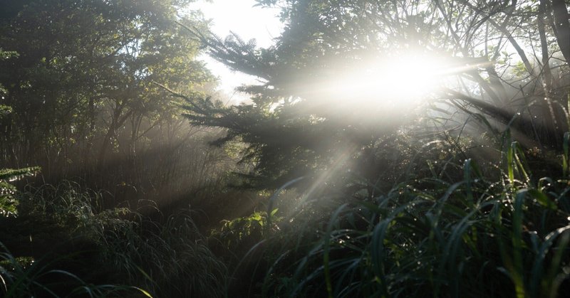 2023年 / 8月・山の写真 (前半)