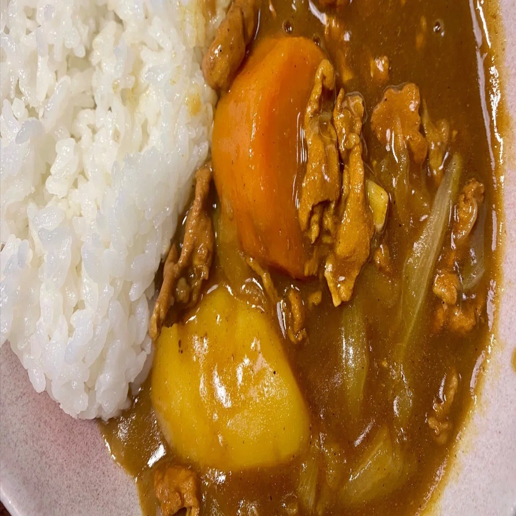 ザ・夜食 カレーライス｜西田親生