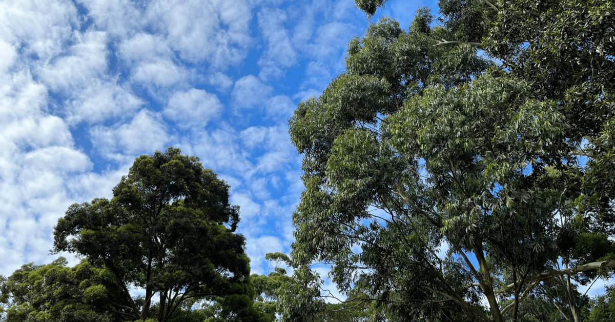 文明の研究ー興亡とその法則ー 文明が衰亡するとき (新潮選書) | 高坂 正堯 |本 | 通販 | Amazon