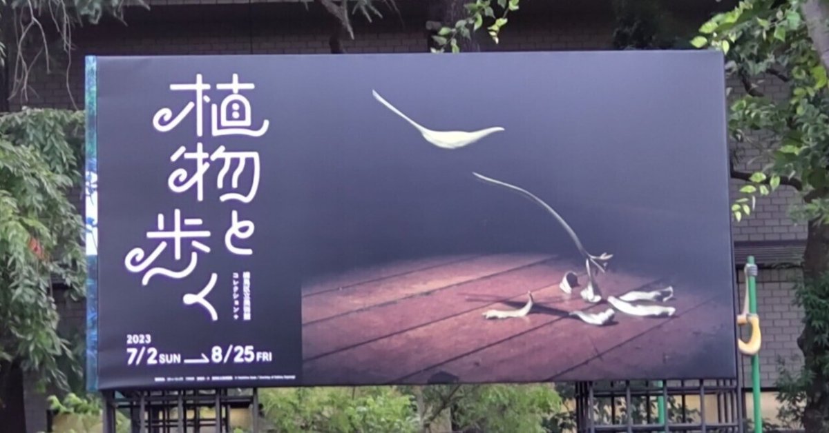 記録・技術・アート 〜 展覧会「植物と歩く」＠練馬区立美術館