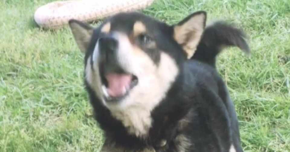 煮卵とウニ醤油とジャム瓶 鈴木 Note