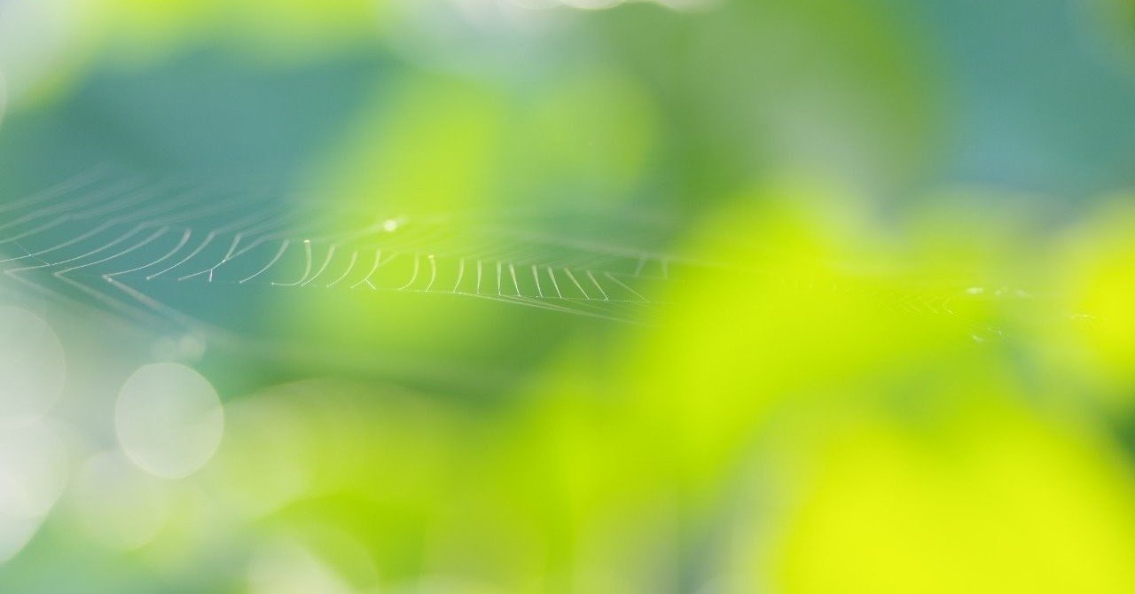 noteを通じて知ってほしい私の体質① ～HSP、虚弱体質、そして