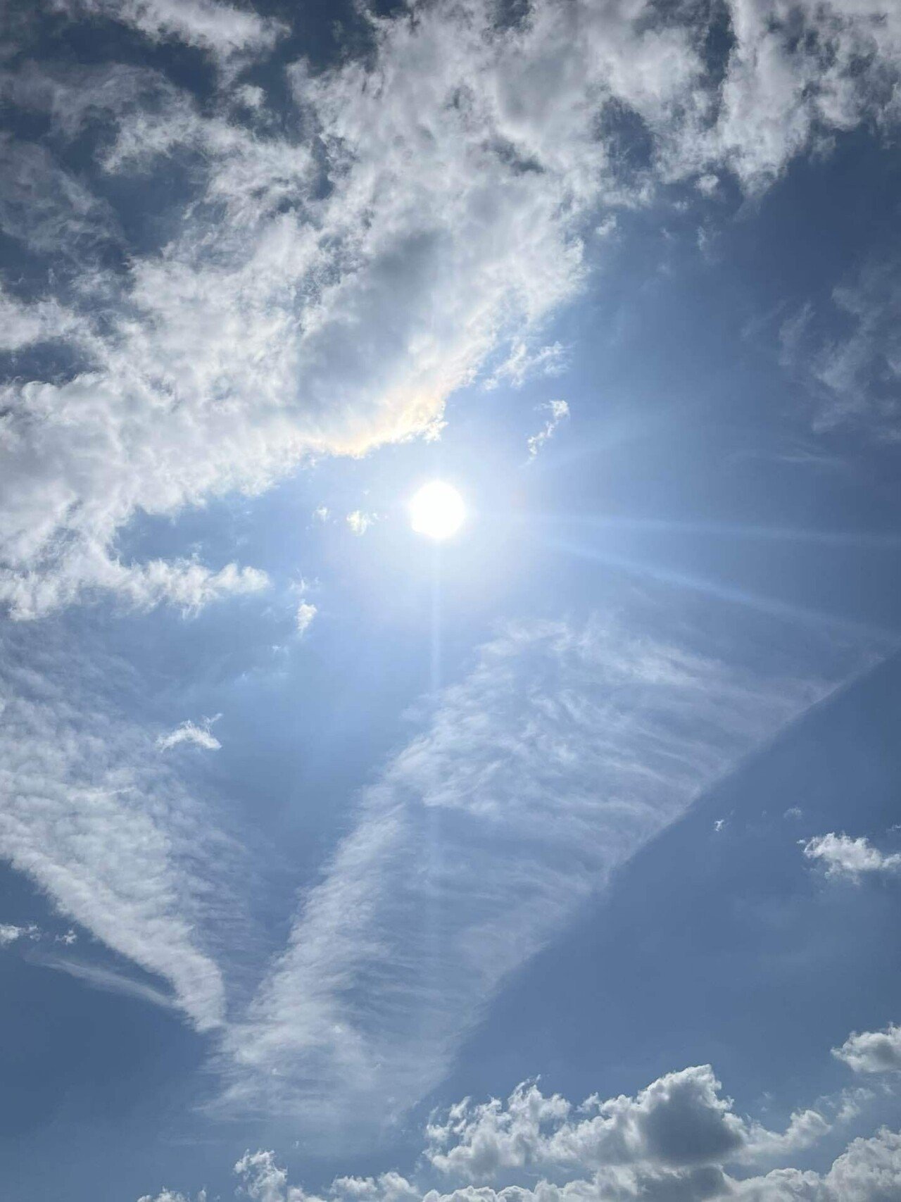 V字雲🌥️やねん❣️📚ss｜まるまるの虫 カメさん