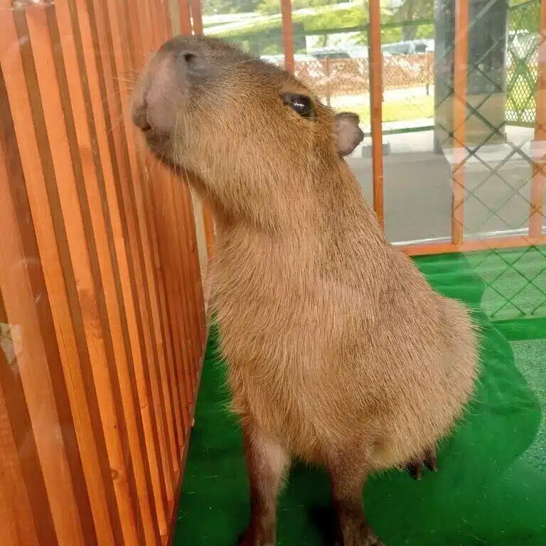 至