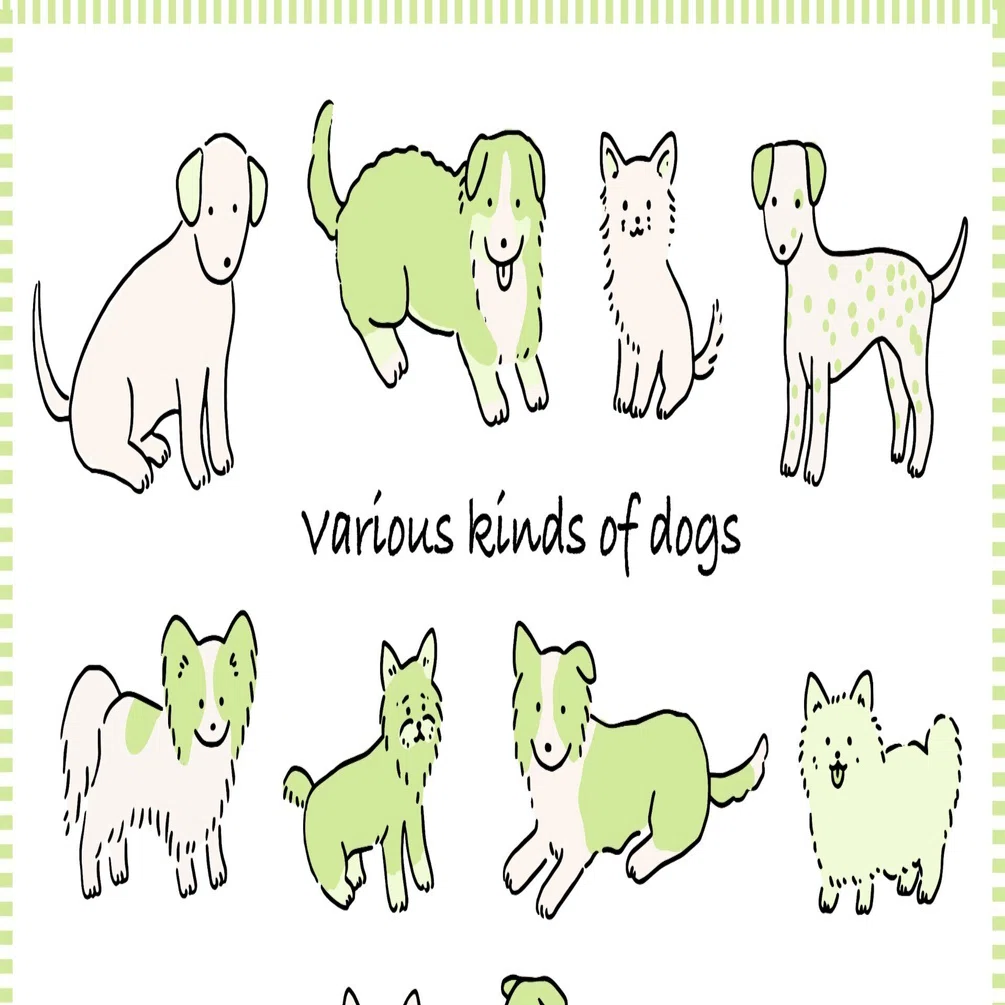ユーキャン　犬の描き方講座 いぬの描き方講座』『ねこの描き方講座』デビュー！ | 株式会社