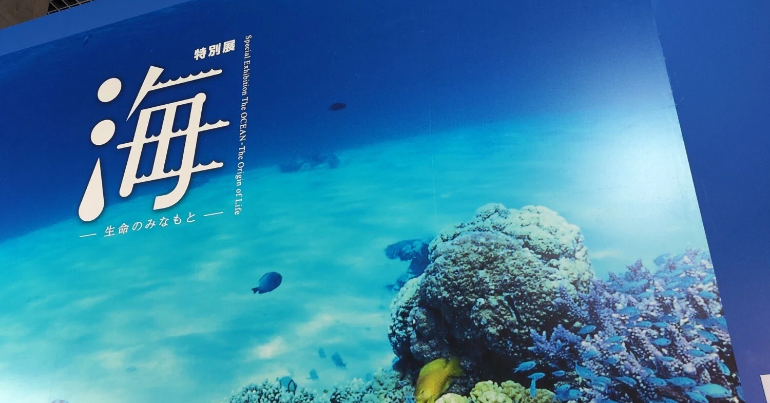特別展】海-生命のみなもと-｜もんばん