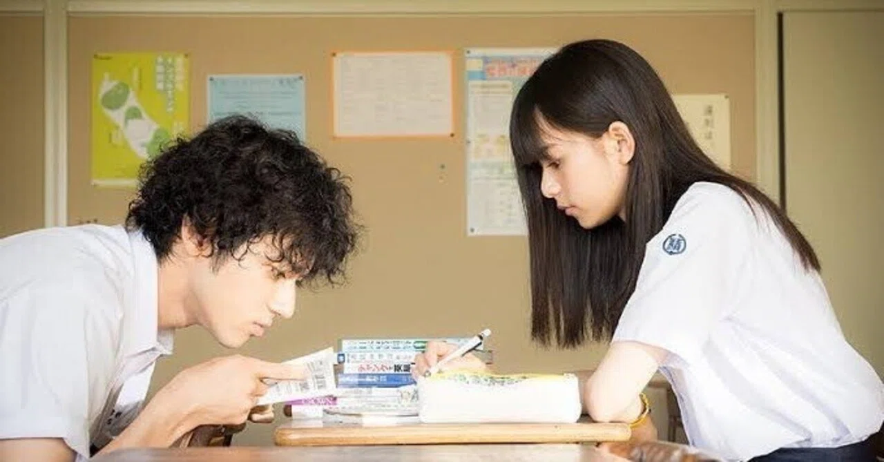 あの頃、君を追いかけた|トマト あの頃、君を追いかけた|トマト