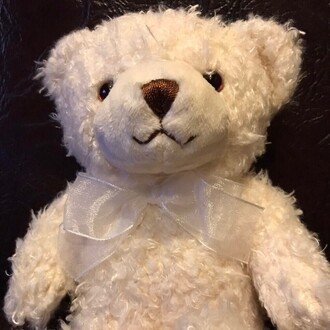 志音（しおん）のブログ-人生は思いがけないことだらけ-