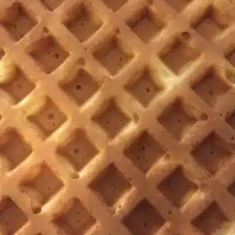 渡辺光彦／振り飛車党将棋ソフトHoneyWaffle
