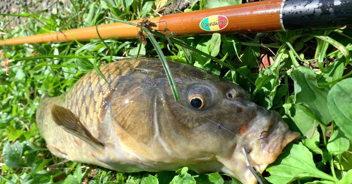 1.2m アウトドア・釣り・旅行用品 鯉釣り竿延べ竿2本セット