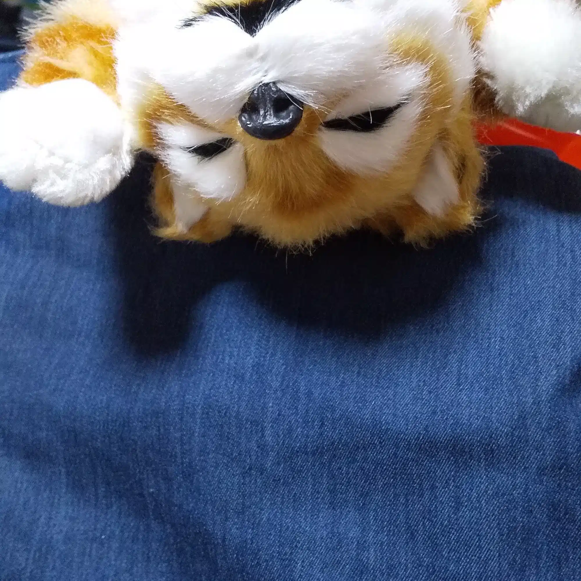 ネコヤマさん