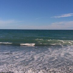 木村 敏著作一覧｜鳥――批評と創造の試み